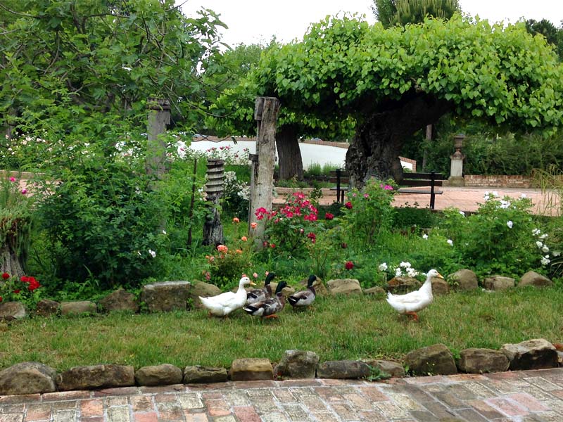 La fattoria dell'Azienda Agricola Le Case Macerata